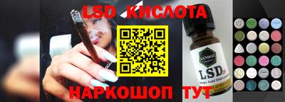 крисы Кулебаки