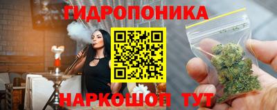 крисы Кулебаки