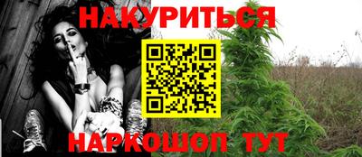 крисы Кулебаки